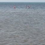 IMG_0281
